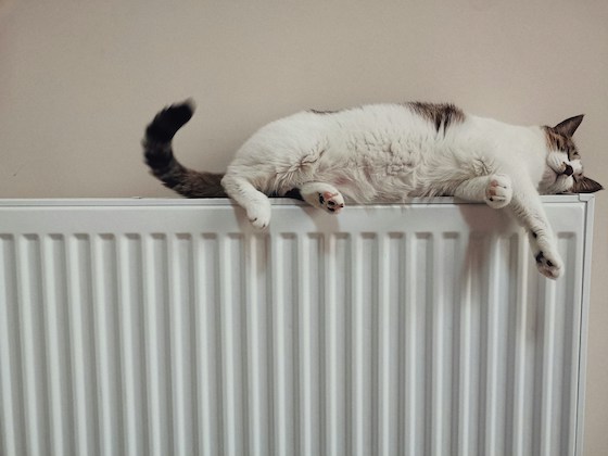 Radiator 